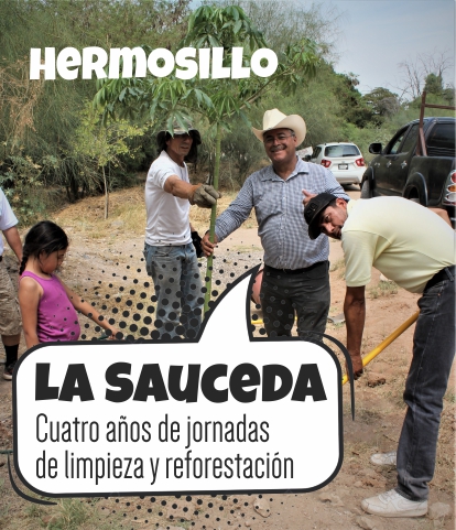 Cuatro años de jornadas de limpieza y reforestación en La Sauceda